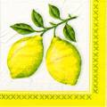 citron0073-1.jpg (3422 octets)