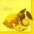 citron0075-1.jpg (3029 octets)
