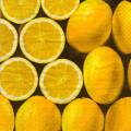 citron0076-1.jpg (3920 octets)