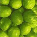 citron0077-1.jpg (3272 octets)