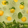 citron0078-1.jpg (3517 octets)