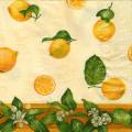 citron0078-2.jpg (3673 octets)