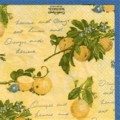 citron0081-1.jpg (7080 octets)