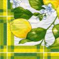 citron0083-1a.jpg (4472 octets)