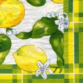 citron0083-1b.jpg (4460 octets)