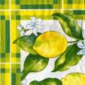 citron0083-1c.jpg (4524 octets)