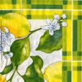 citron0083-1d.jpg (4463 octets)