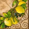 citron0084-1.jpg (4531 octets)