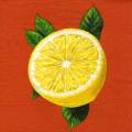 citron0085-1.jpg (2582 octets)