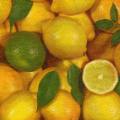 citron0086-1.jpg (3158 octets)