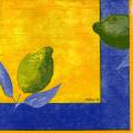 citron0087-1.jpg (3239 octets)