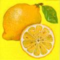 citron0088-1.jpg (3163 octets)