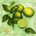 citron0090-1.jpg (3897 octets)
