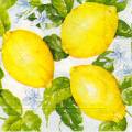 citron0091-1.jpg (4132 octets)