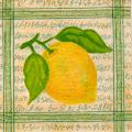 citron0092-1.jpg (4065 octets)