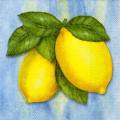citron0094-1.jpg (3191 octets)