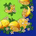 citron0095-1.jpg (4526 octets)
