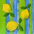 citron0096-1.jpg (3722 octets)