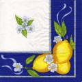 citron0098-1.jpg (3584 octets)