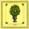 citron0100-1.jpg (4146 octets)
