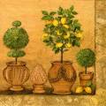 citron0101-1.jpg (3886 octets)