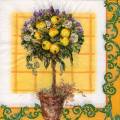 citron0102-1.jpg (4474 octets)