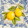 citron0103-1.jpg (4968 octets)
