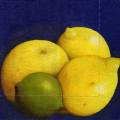 citron0104-1.jpg (2537 octets)