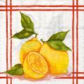citron0106-1.jpg (3739 octets)