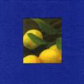 citron0110-1.jpg (1861 octets)