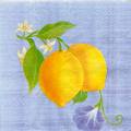 citron0111-1.jpg (2764 octets)