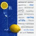 citron0113-1.jpg (3508 octets)