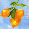 citron0117-1.jpg (3040 octets)