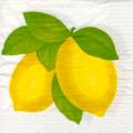 citron0118-1.jpg (2743 octets)