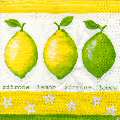 citron0120-1.jpg (4032 octets)