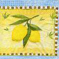 citron0121-1b.jpg (4379 octets)