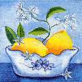citron0123-1.jpg (4640 octets)