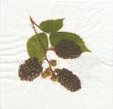 divers0030-1a.jpg (2632 octets)