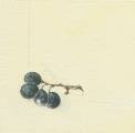 divers0038-1a.jpg (1212 octets)