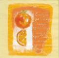 divers0049-1a.jpg (2729 octets)