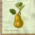 divers0060-4c.jpg (2941 octets)
