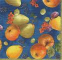 divers0072-1.jpg (4475 octets)