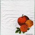 divers0076-1a.jpg (2473 octets)