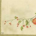 divers0078-1a.jpg (2187 octets)
