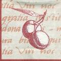 divers0108-1a.jpg (3786 octets)