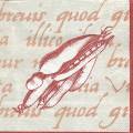 divers0108-1d.jpg (3912 octets)
