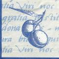 divers0108-2a.jpg (3894 octets)
