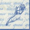 divers0108-2b.jpg (3936 octets)