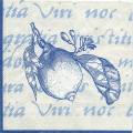 divers0108-2c.jpg (4014 octets)