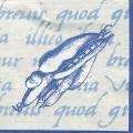 divers0108-2d.jpg (3992 octets)